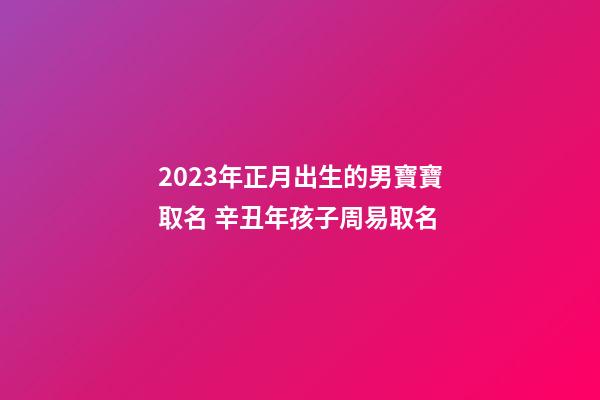 2023年正月出生的男寶寶取名 辛丑年孩子周易取名
